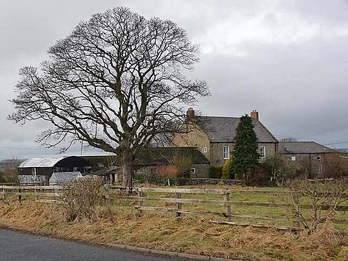 Ouston, Stamfordham